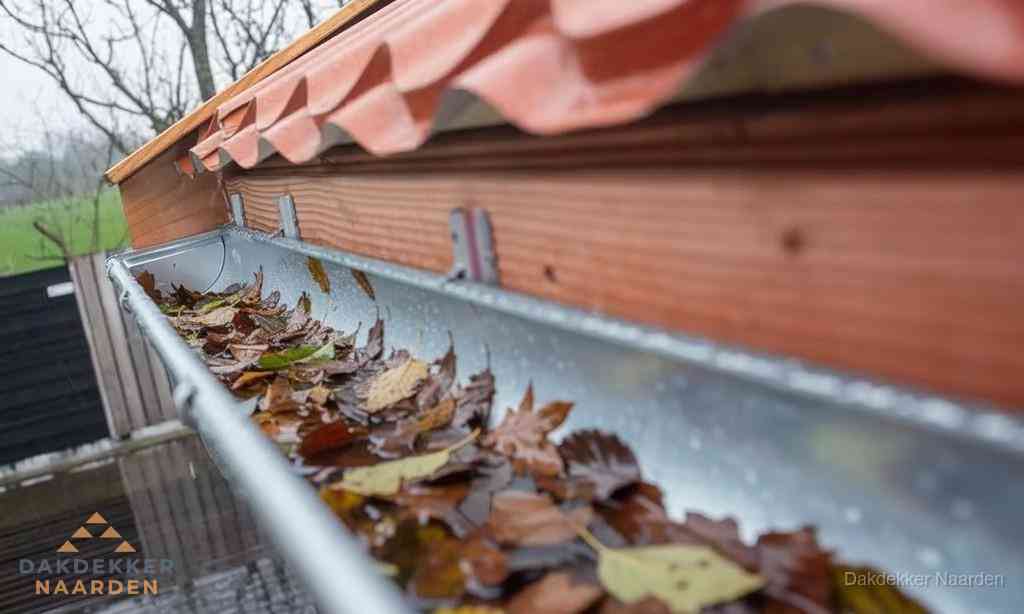Dakbedekking Dakgoot Reinigen Naarden