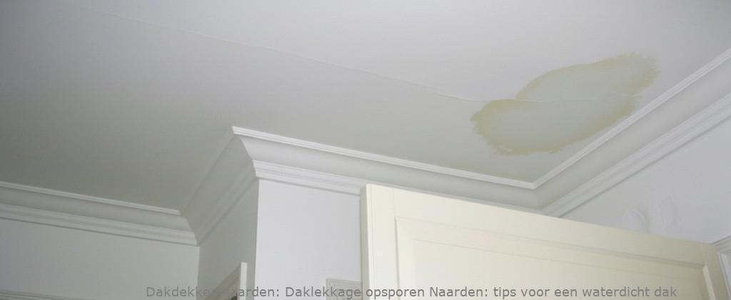 Daklekkage Opsporen Naarden 1
