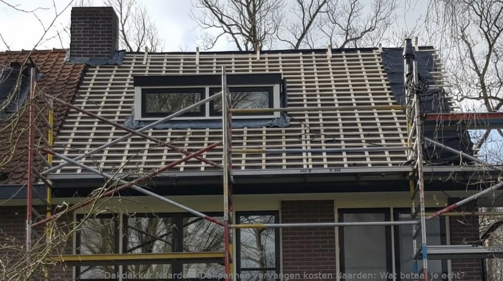Dakpannen Vervangen Kosten Naarden