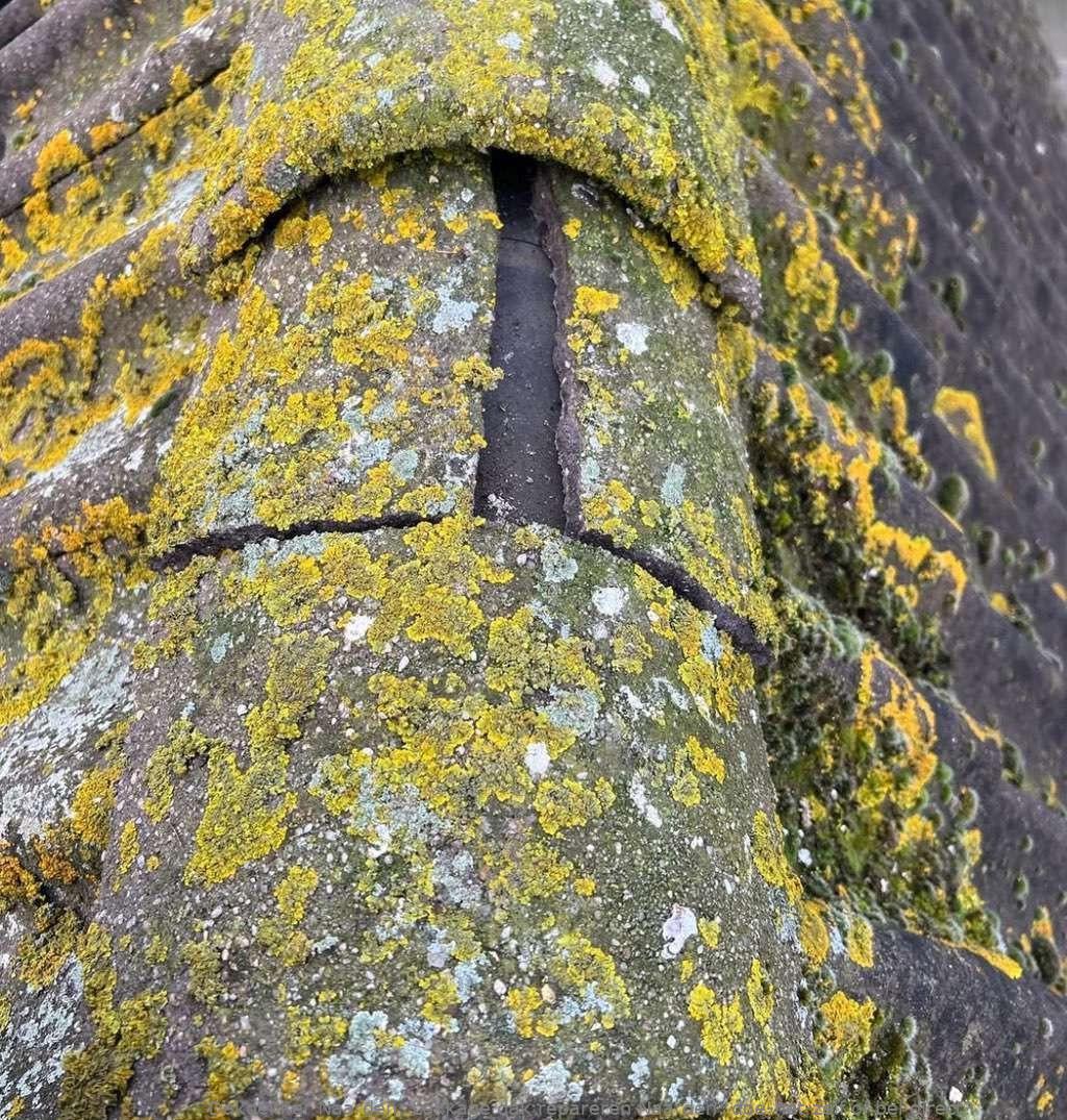 Lekkage Dak Repareren Naarden 1