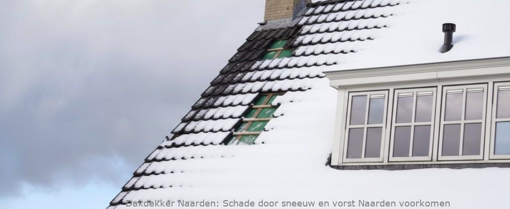 Schade Door Sneeuw En Vorst Naarden