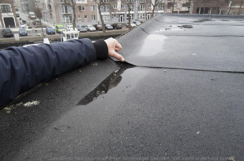 Voorkomen Daklekkages Naarden